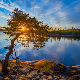 От Ладоги до Белого моря