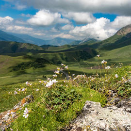 Кавказская рапсодия