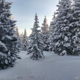 Зимний Зюраткуль и Сонькина лагуна