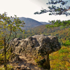 Молодежь исследует мир. Треккинг осень-зима