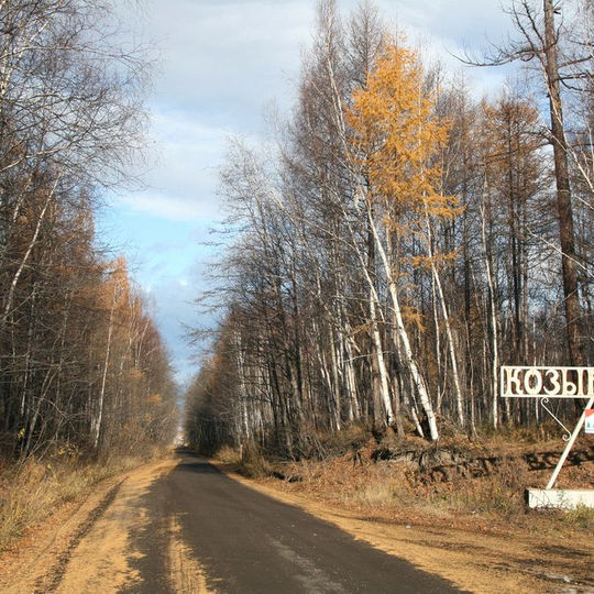 Мертвый лес на камчатке фото