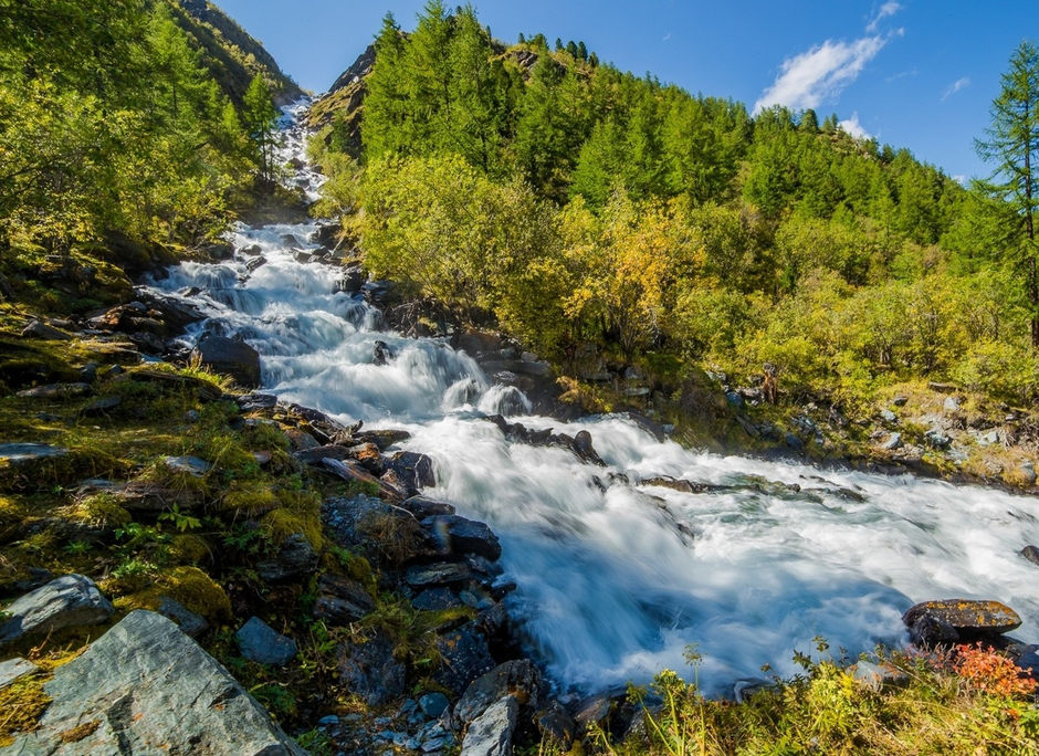 что делать на алтае в августе. Смотреть фото что делать на алтае в августе. Смотреть картинку что делать на алтае в августе. Картинка про что делать на алтае в августе. Фото что делать на алтае в августе
