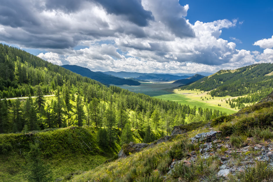 Пейзаж горного Алтая летом