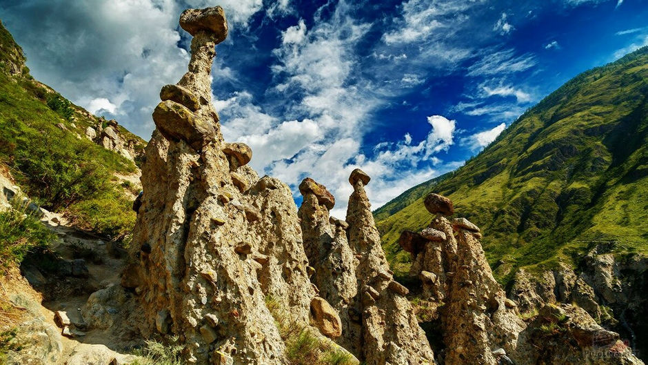 что делать на алтае в августе. Смотреть фото что делать на алтае в августе. Смотреть картинку что делать на алтае в августе. Картинка про что делать на алтае в августе. Фото что делать на алтае в августе