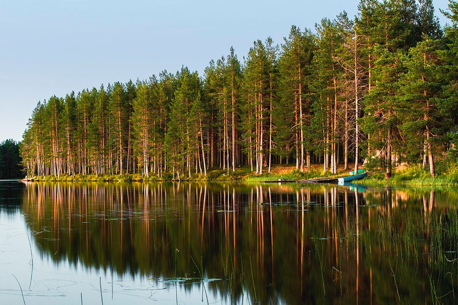 Когда лучше ехать в карелию на машине с детьми. Смотреть фото Когда лучше ехать в карелию на машине с детьми. Смотреть картинку Когда лучше ехать в карелию на машине с детьми. Картинка про Когда лучше ехать в карелию на машине с детьми. Фото Когда лучше ехать в карелию на машине с детьми